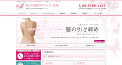 Desktop Screenshot of midocli.com